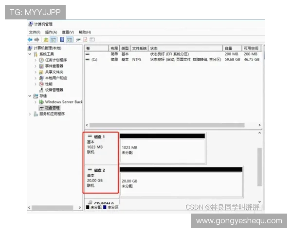 凯发登录入口客户端下载安装步骤详解与常见问题排查