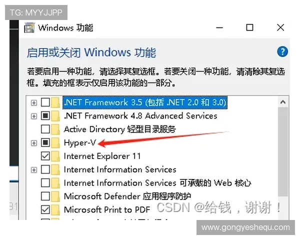 提升AG登录体验的实用技巧，轻松应对登录过程中可能遇到的问题和解决方案
