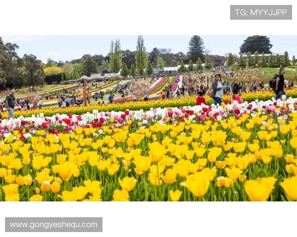 墨尔本娱乐体验：享受多元文化融合的休闲娱乐方式