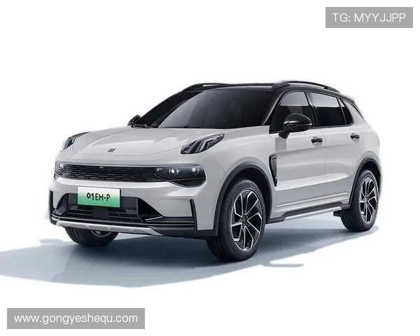 k8凯发一触即发旗舰：详细解析其核心技术优势与在电竞行业中的应用前景