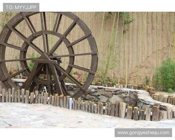 bob官方真人现场体验分享，带你感受最真实的游戏魅力