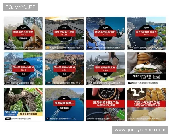 全面解析视讯下载软件推荐及使用方法满足不同用户的视频下载需求