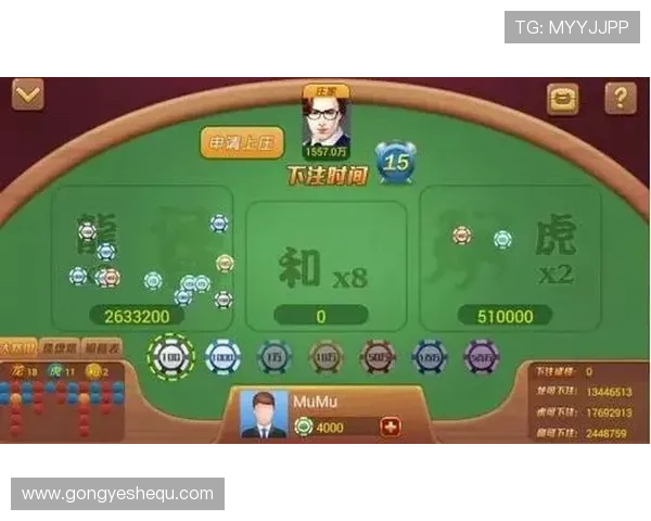 全面解析三公百家乐的玩法规则与实用技巧助你赢得更多