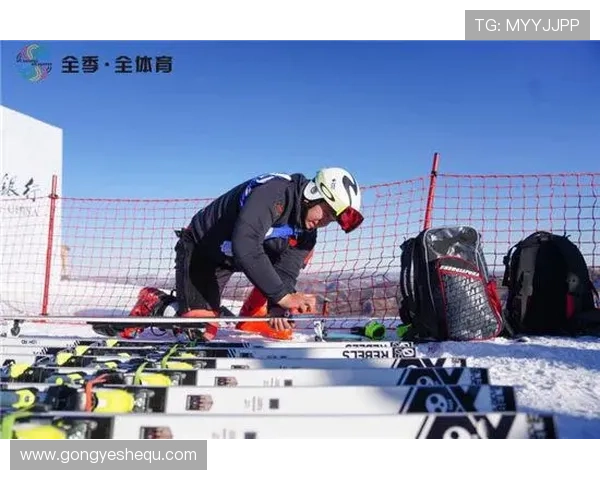 一游戏体育平台全面解析如何提升玩家体验与赛事互动效果