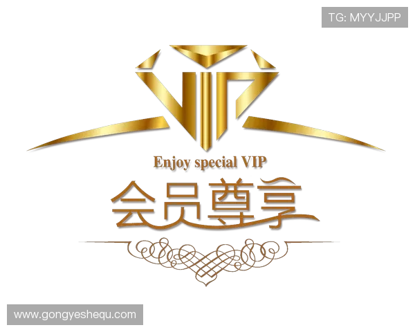 凯发网页版VIP会员制度介绍享受专属福利与优先体验