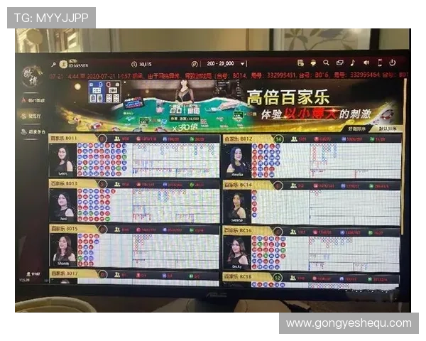 百家乐路子图分析指南：帮助玩家识别趋势实现稳健盈利