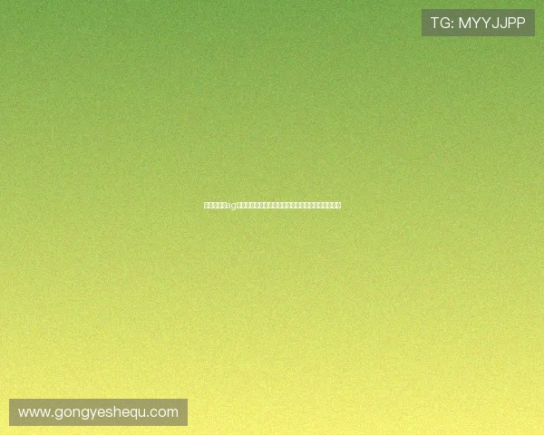 金百利娱乐ag安全保障措施全面介绍确保玩家资金与信息安全无忧